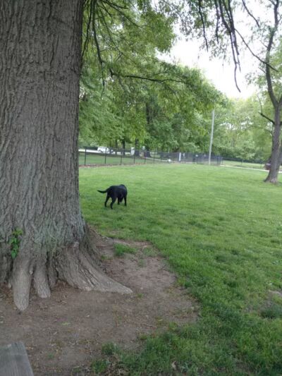 Big Walnut Park - Columbus, OH