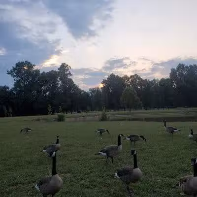 Big Walnut Park - Columbus, OH