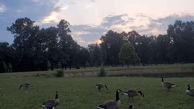 Big Walnut Park - Columbus, OH