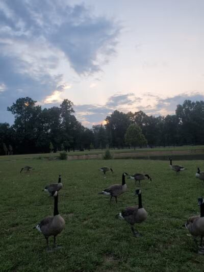 Big Walnut Park - Columbus, OH