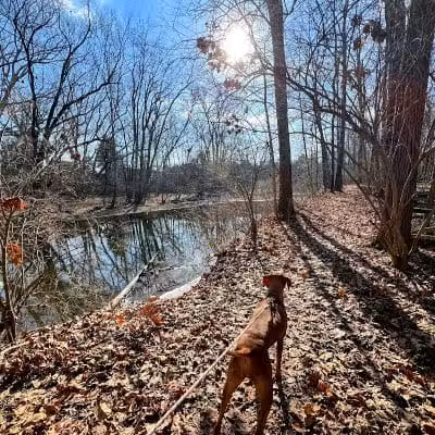 Big Walnut Park - Columbus, OH
