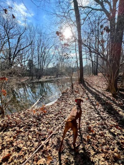Big Walnut Park - Columbus, OH