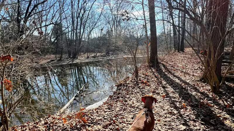 Big Walnut Park - Columbus, OH