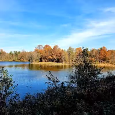 Blendon Woods Metro Park - Columbus, OH