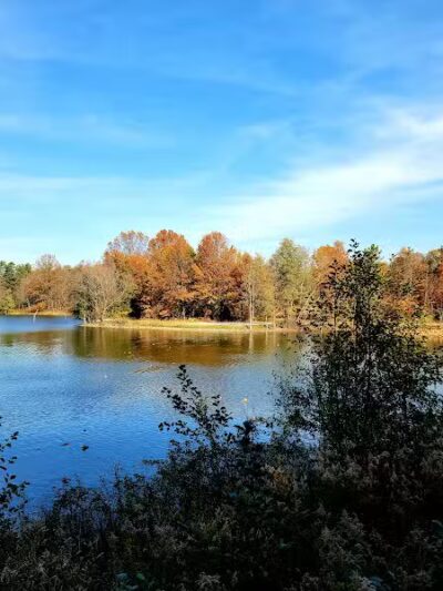 Blendon Woods Metro Park - Columbus, OH