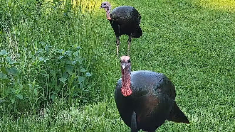 Blendon Woods Metro Park - Columbus, OH