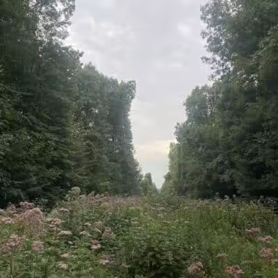 Blendon Woods Metro Park - Columbus, OH