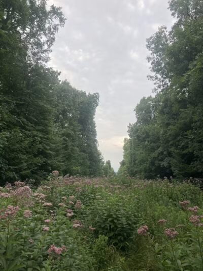 Blendon Woods Metro Park - Columbus, OH