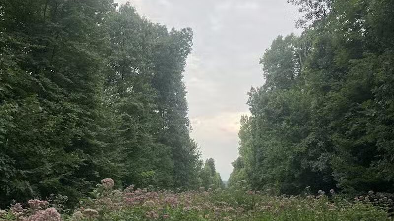 Blendon Woods Metro Park - Columbus, OH