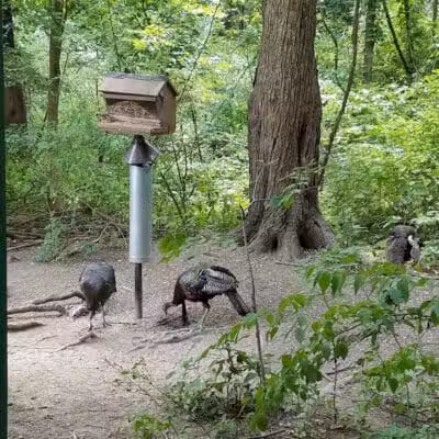 Blendon Woods Metro Park - Columbus, OH