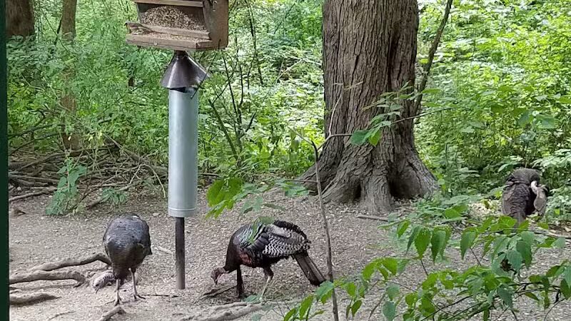 Blendon Woods Metro Park - Columbus, OH