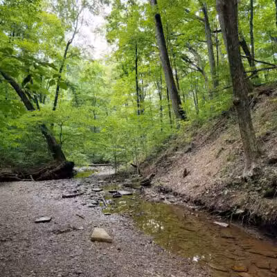 Blendon Woods Metro Park - Columbus, OH