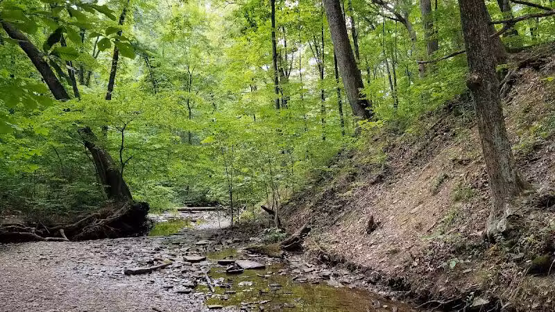 Blendon Woods Metro Park - Columbus, OH