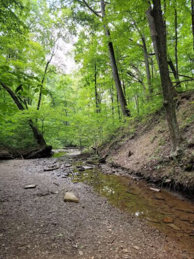 Blendon Woods Metro Park - Columbus, OH