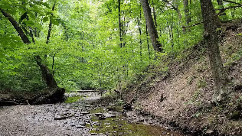 Blendon Woods Metro Park - Columbus, OH