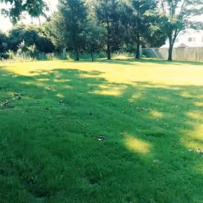 Brandywine Park - Columbus, OH