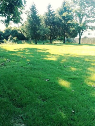 Brandywine Park - Columbus, OH