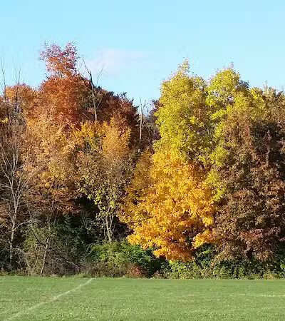 Brandywine Park - Columbus, OH