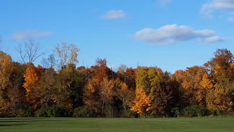 Brandywine Park - Columbus, OH