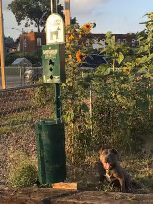 Bridgeway Academy Dog Park - Columbus, OH