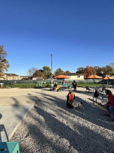 Bumble's Backyard - Columbus, OH