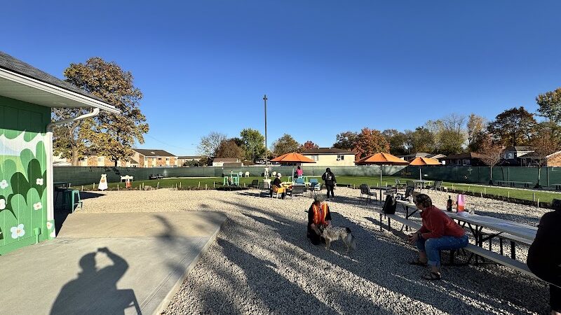 Bumble's Backyard - Columbus, OH