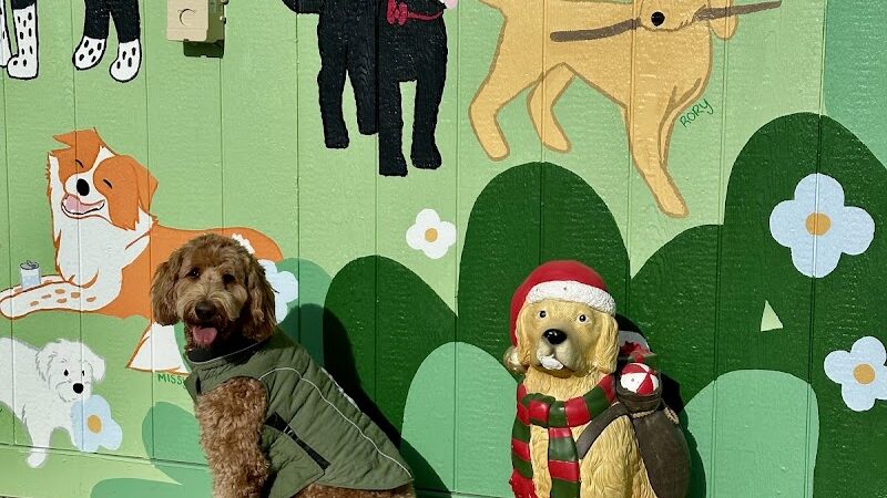 Bumble's Backyard - Columbus, OH