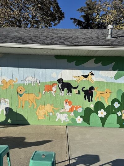 Bumble's Backyard - Columbus, OH