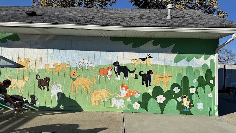 Bumble's Backyard - Columbus, OH