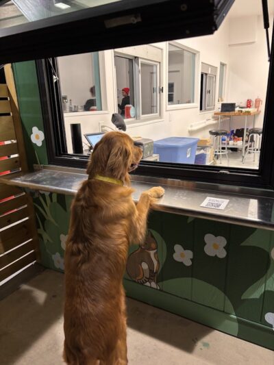 Bumble's Backyard - Columbus, OH