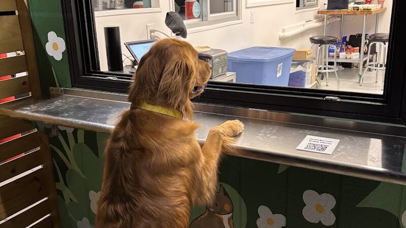 Bumble's Backyard - Columbus, OH