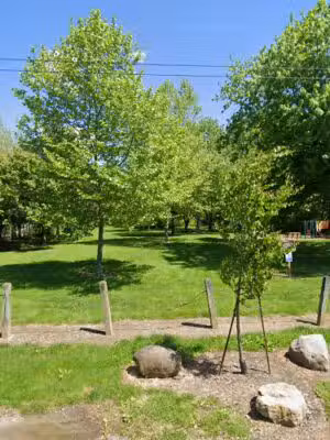 Canini Park - Columbus, OH