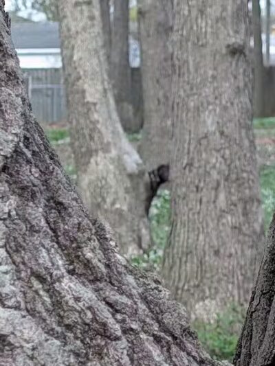 Chaseland Park - Columbus, OH