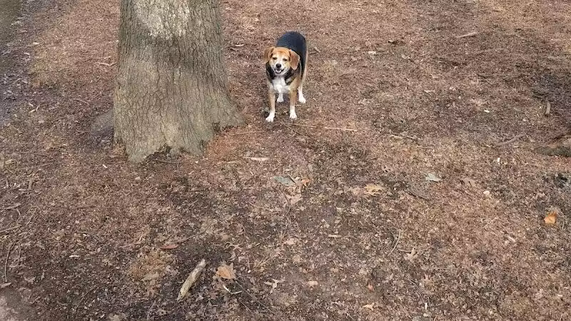 Chaseland Park - Columbus, OH