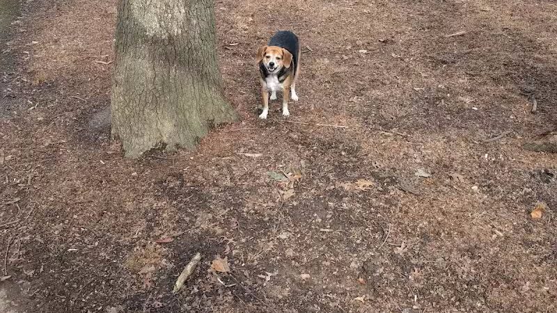 Chaseland Park - Columbus, OH