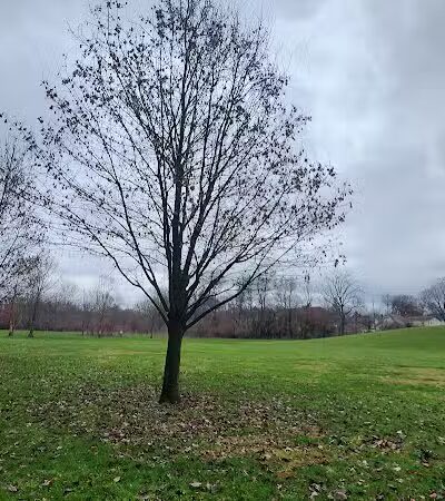 Clinton -Como Park - Columbus, OH