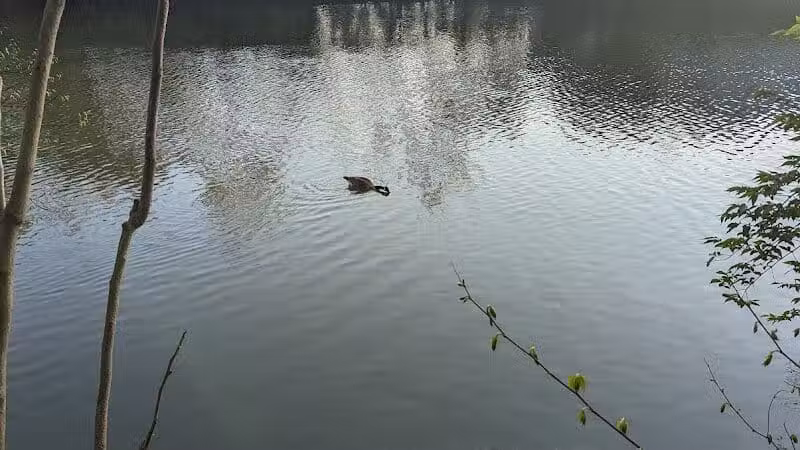 Clinton -Como Park - Columbus, OH