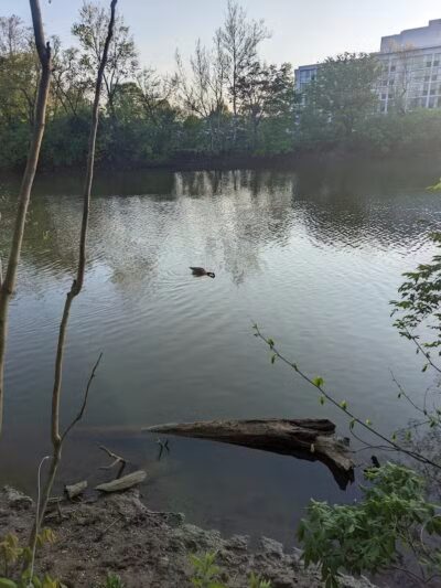 Clinton -Como Park - Columbus, OH