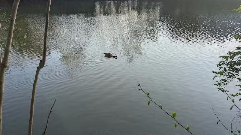 Clinton -Como Park - Columbus, OH