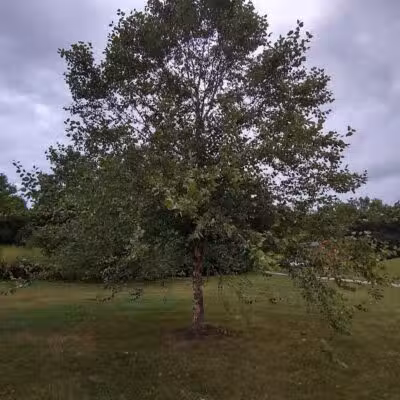 Clinton -Como Park - Columbus, OH