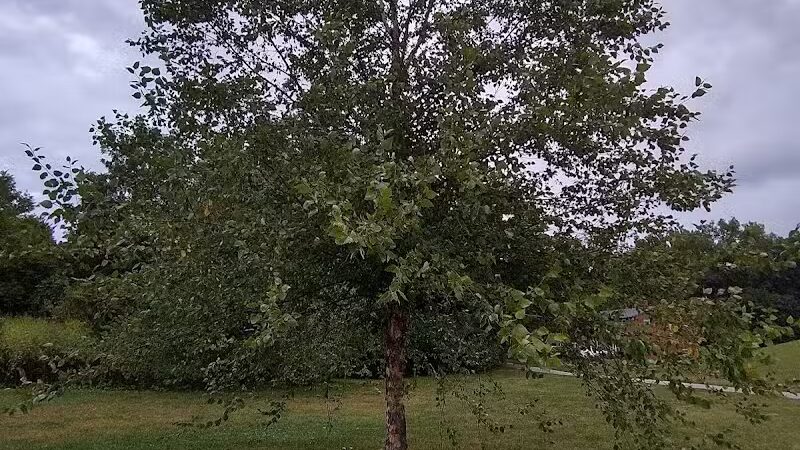 Clinton -Como Park - Columbus, OH