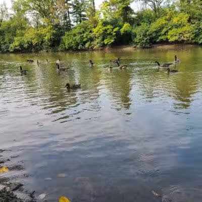 Clinton -Como Park - Columbus, OH