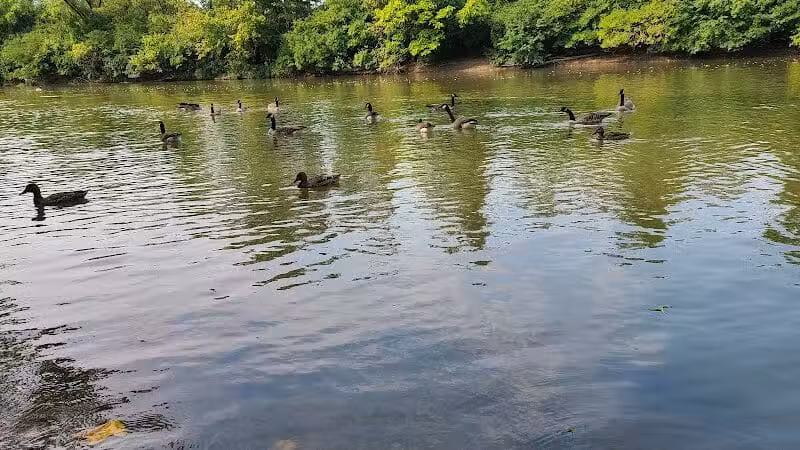 Clinton -Como Park - Columbus, OH