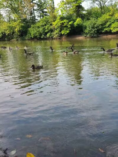 Clinton -Como Park - Columbus, OH