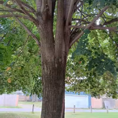 Cody Park - Columbus, OH