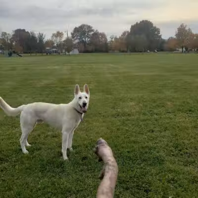 Cremeans Park - Columbus, OH