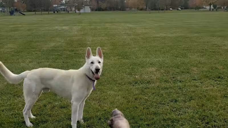 Cremeans Park - Columbus, OH