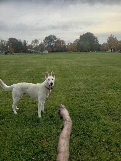 Cremeans Park - Columbus, OH