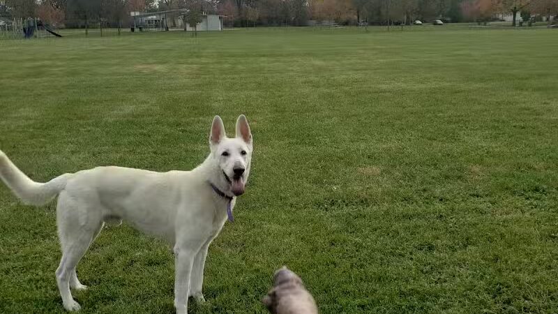 Cremeans Park - Columbus, OH