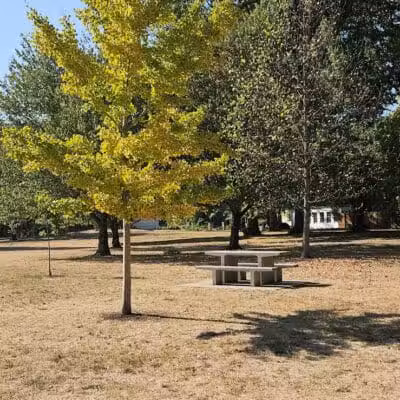 Deshler Park - Columbus, OH